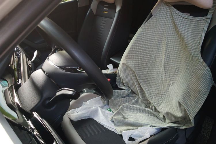 Volkswagen Polo 2019 car image #19
