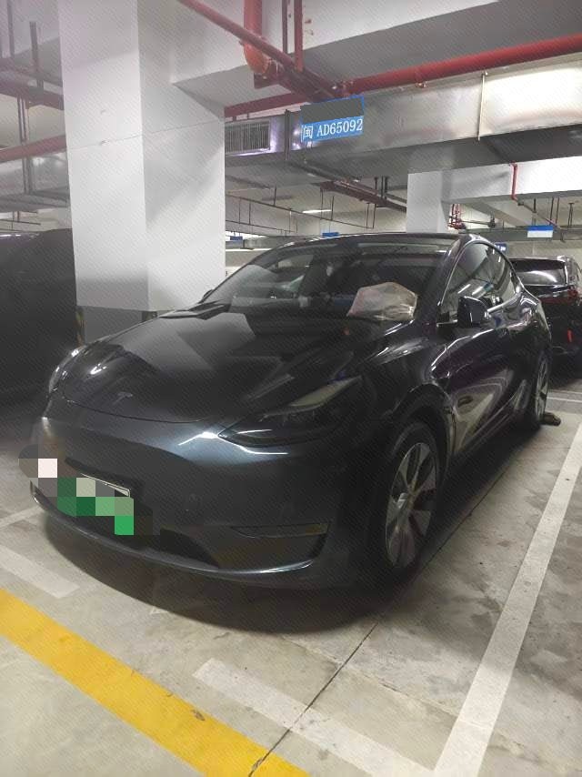 Tesla Model Y 2021 Tesla Model Y 2021 car image
