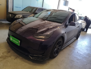 Tesla Model Y 2023 Tesla Model Y 2023 car image