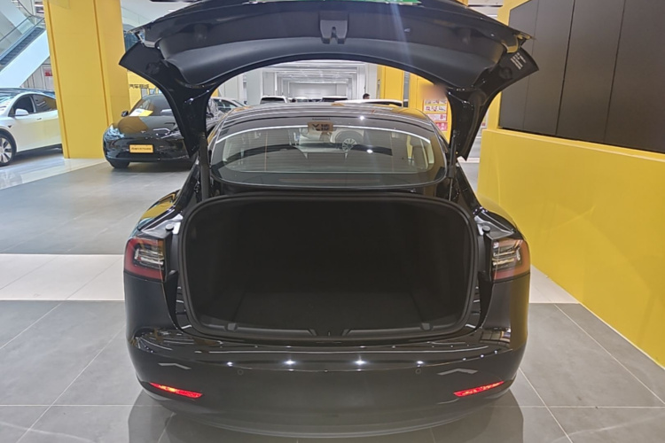 Tesla Model 3 2021 #19 Tesla Model 3 2021 immagine di auto #19