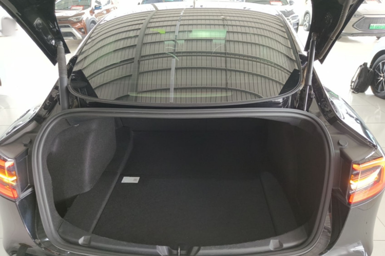 Tesla Model 3 2021 car image #19