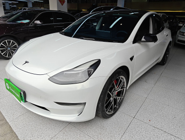 Tesla Model 3 2022 汽车图片 
