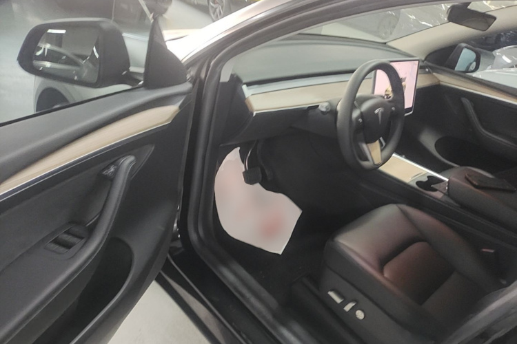Tesla Model Y 2022 car image #12