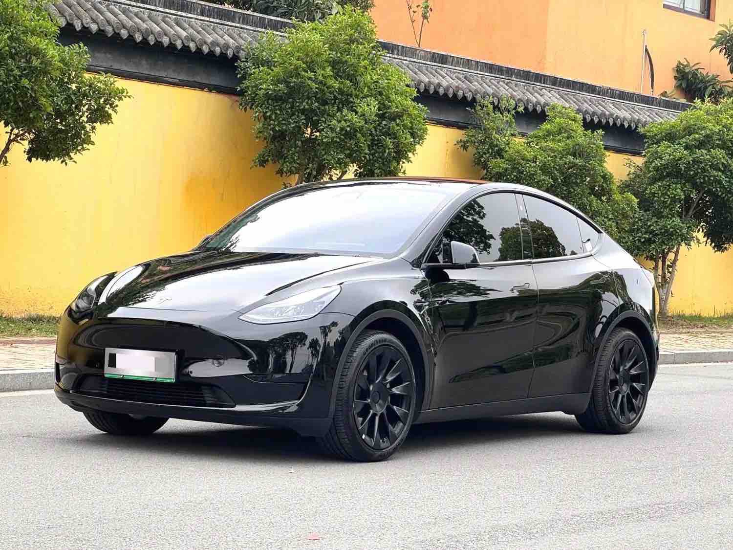 Tesla Model Y 2022 Tesla Model Y 2022 car image