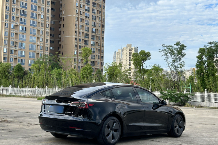 Tesla Model 3 2021 #4 Tesla Model 3 2021 car image #4