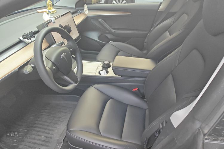 Tesla Model 3 2023 car image #17