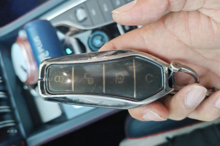 BYD Yuan Plus 2023 car image #10