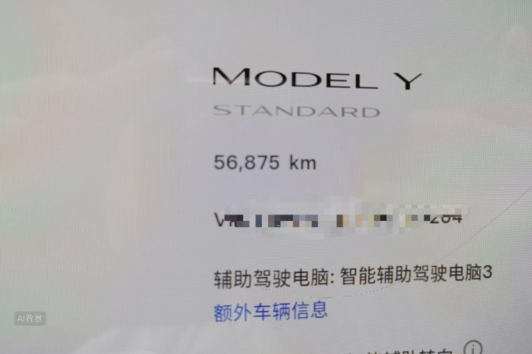 Tesla Model Y 2021 car image #14
