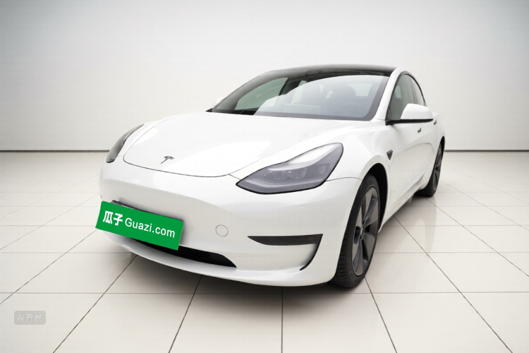 Tesla Model 3 2021 #2 Tesla Model 3 2021 car image #2