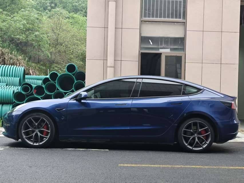 Tesla Model 3 2021 immagine di auto #3
