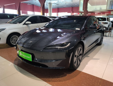 Tesla Model 3 2025 Tesla Model 3 2025 car image