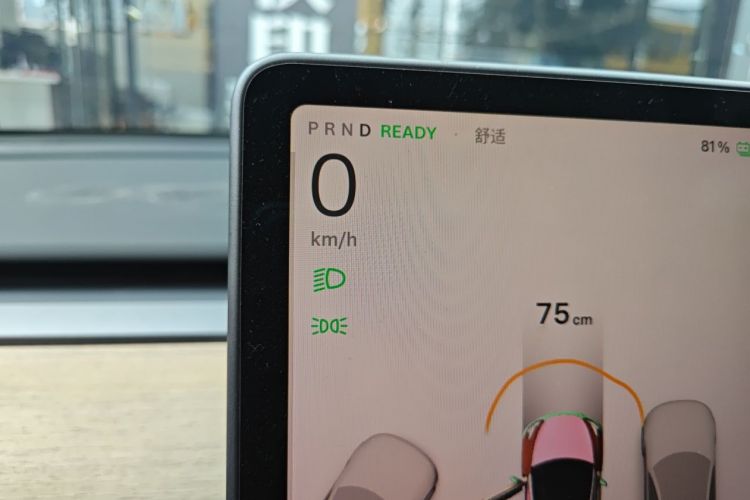 Tesla Model Y 2023 car image #12
