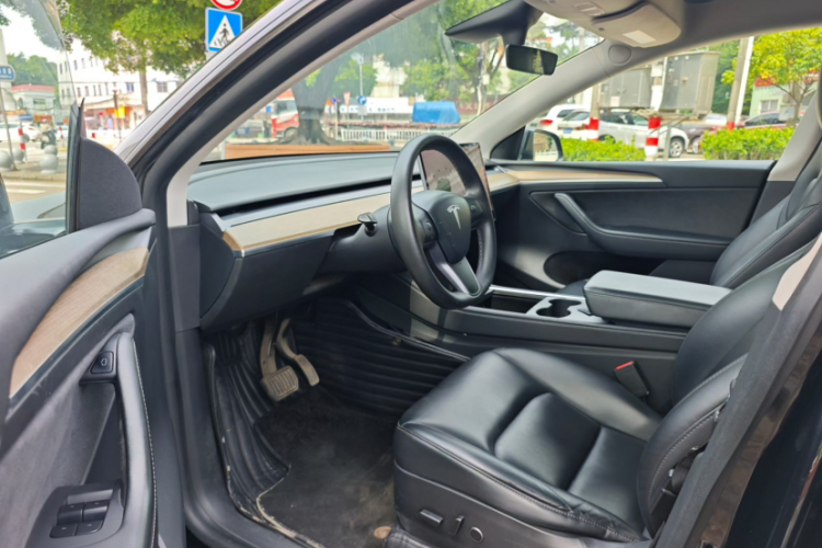 Tesla Model Y 2021 car image #10