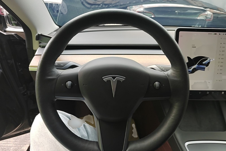 Tesla Model 3 2021 #11 Tesla Model 3 2021 car image #11