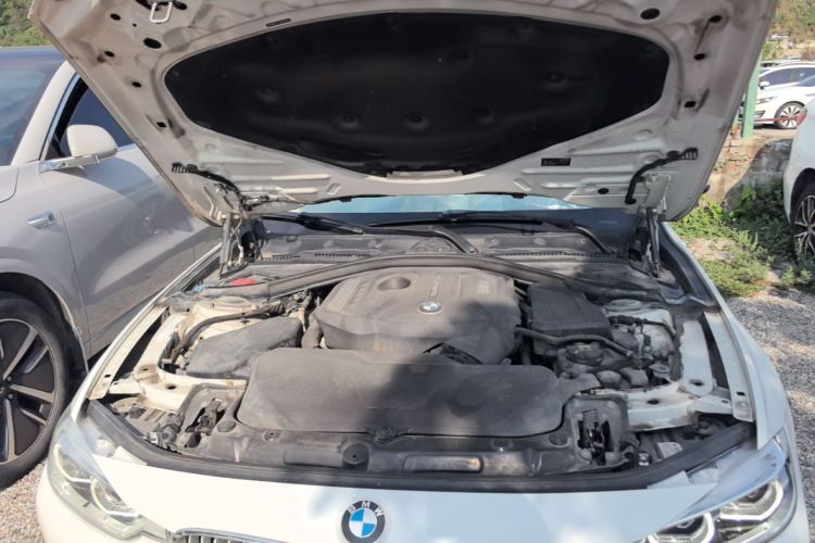 BMW 3 Series 2017 #20 BMW 3 Series 2017 car image #20
