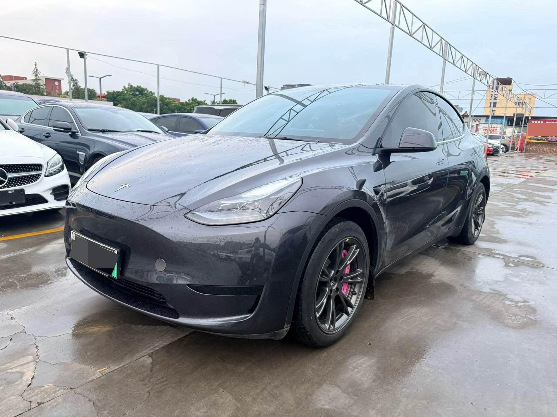 Tesla Model Y 2024 car image 
