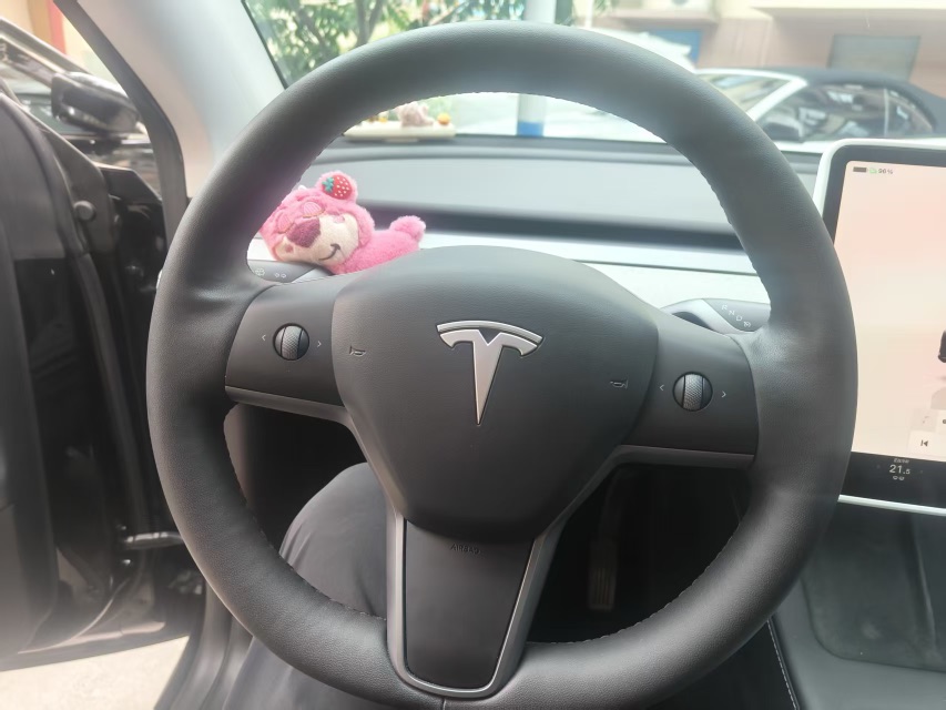 Tesla Model Y 2024 car image #4