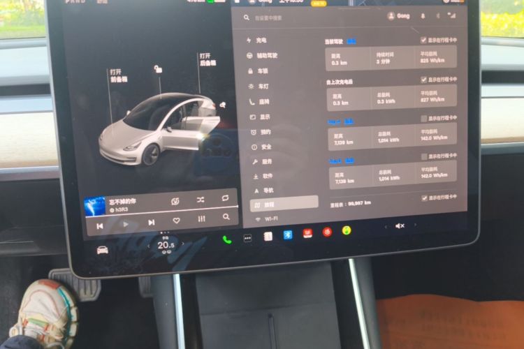 Tesla Model 3 2020 #12 Tesla Model 3 2020 car image #12