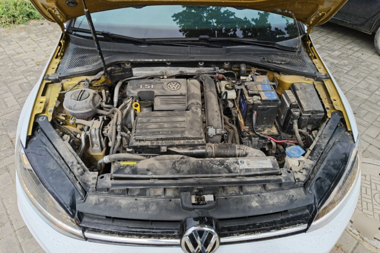 Volkswagen Golf 2019 #20 Volkswagen Golf 2019 car image #20
