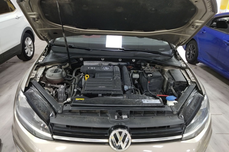 Volkswagen Golf 2019 #22 Volkswagen Golf 2019 car image #22