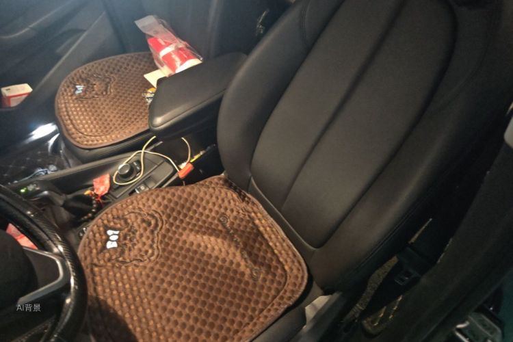 BMW X1 2019 car image #17