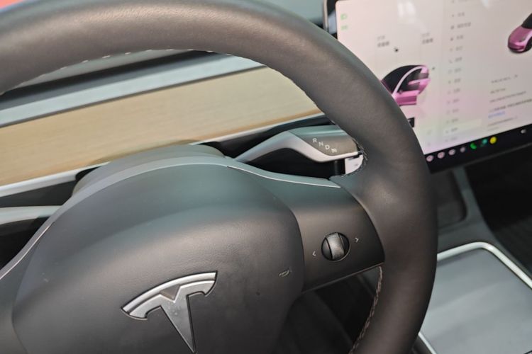 Tesla Model 3 2023 #14 Tesla Model 3 2023 immagine di auto #14