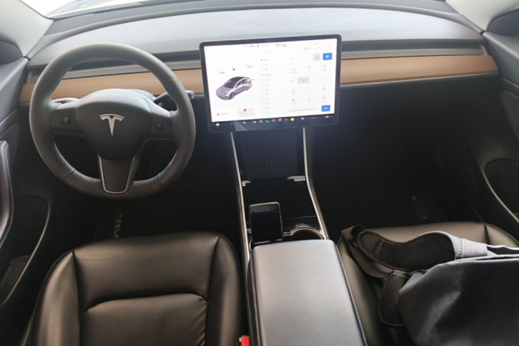 Tesla Model 3 2020 car image #11