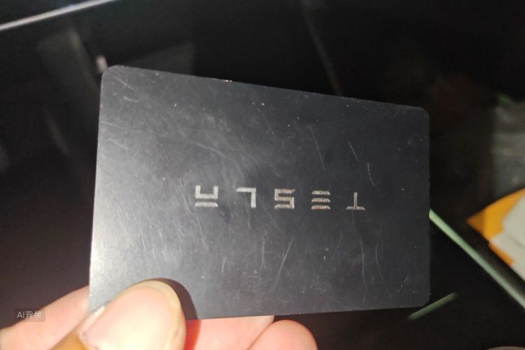 Tesla Model 3 2020 immagine di auto #10