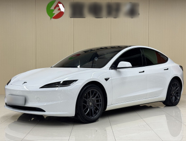 Tesla Model 3 2024 car image 