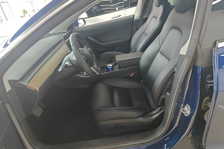 Tesla Model 3 2020 car image #15