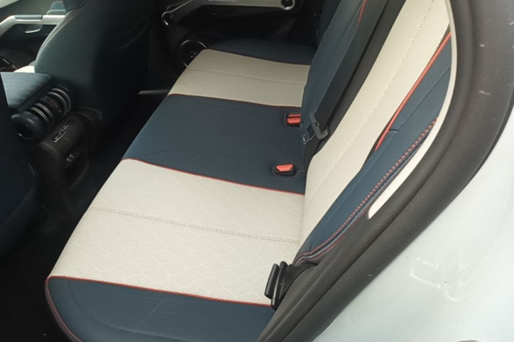 BYD Yuan Plus 2022 car image #13