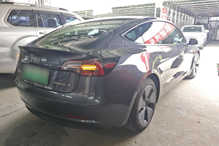 Tesla Model 3 2021 #5 Tesla Model 3 2021 car image #5