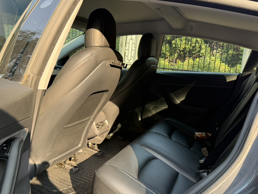 Tesla Model 3 2020 imagen de coche #5