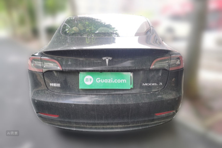 Tesla Model 3 2022 car image #6