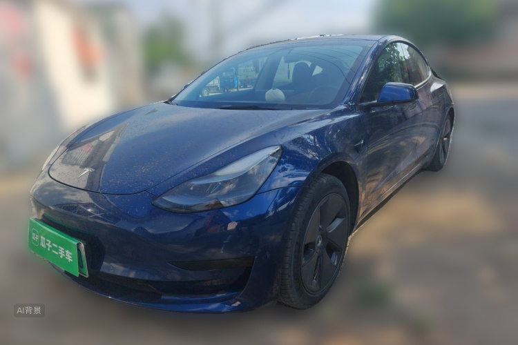 Tesla Model 3 2021 #2 Tesla Model 3 2021 car image #2