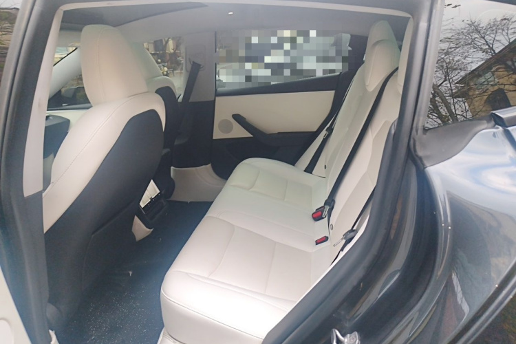 Tesla Model 3 2024 imagem de carro #10