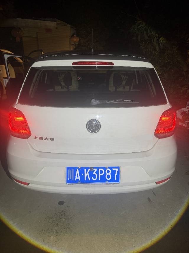 Volkswagen Polo 2016 car image #4