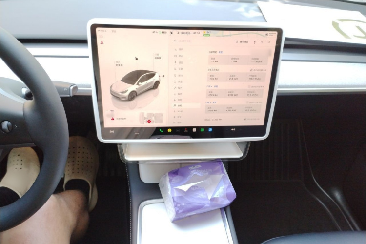 Tesla Model Y 2024 car image #17