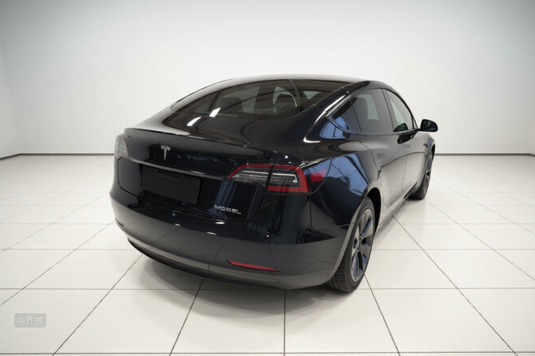 Tesla Model 3 2021 car image #7
