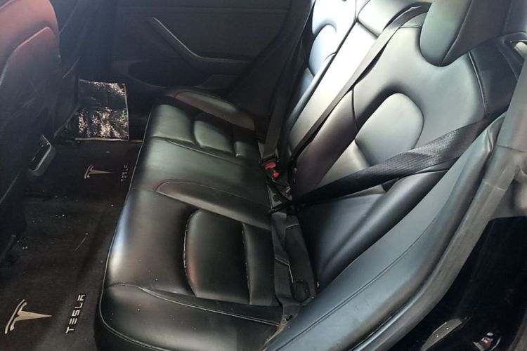 Tesla Model 3 2021 #17 Tesla Model 3 2021 car image #17