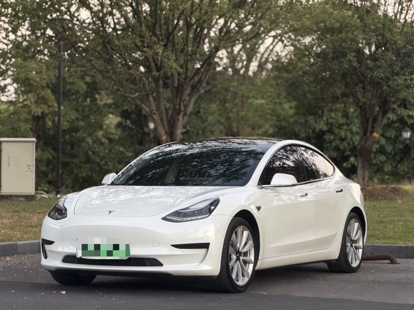 Tesla Model 3 2020 Tesla Model 3 2020 immagine di auto