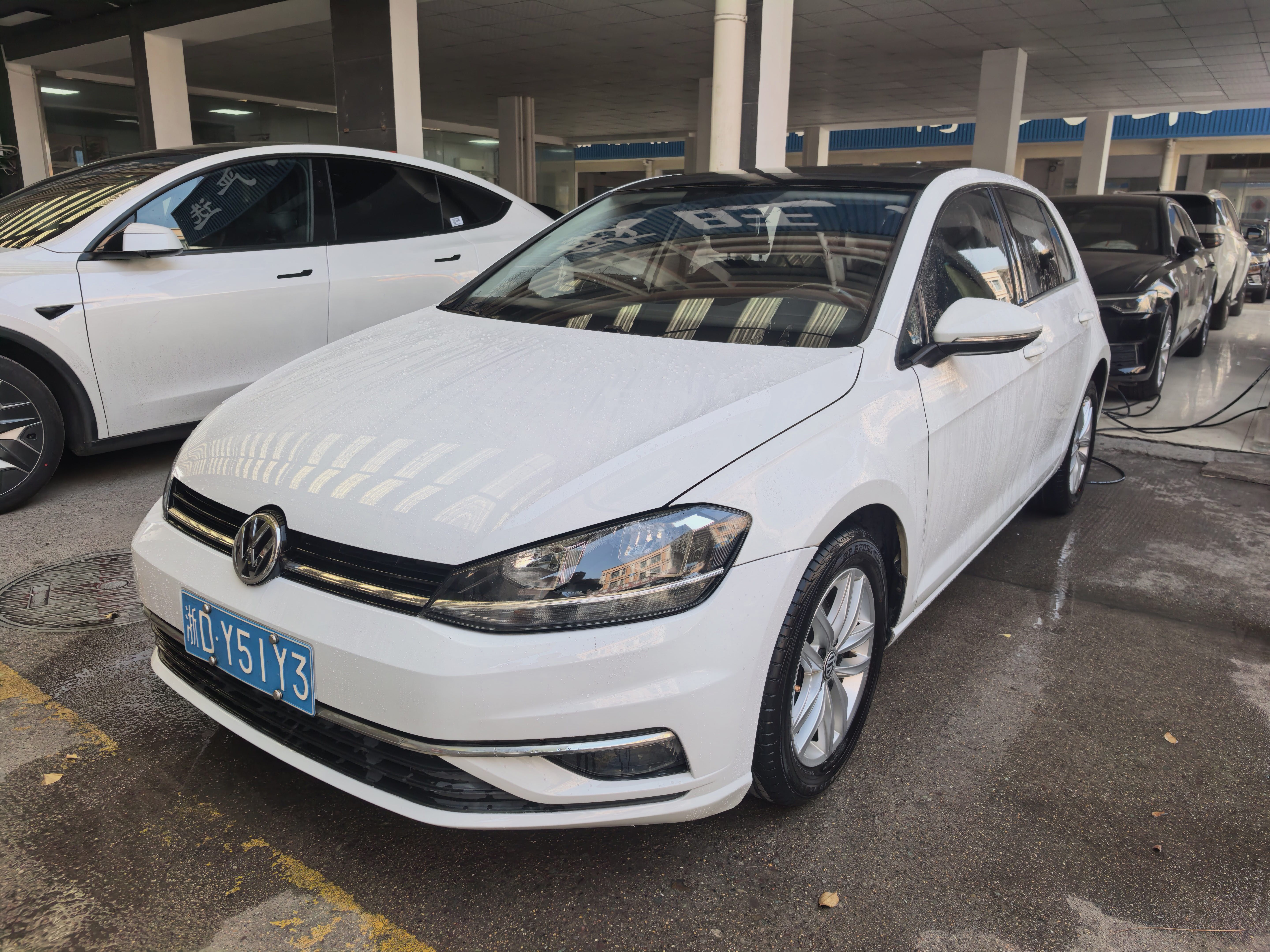 Volkswagen Golf 2019 Volkswagen Golf 2019 car image