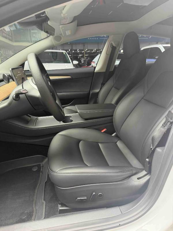 Tesla Model 3 2022 car image #4
