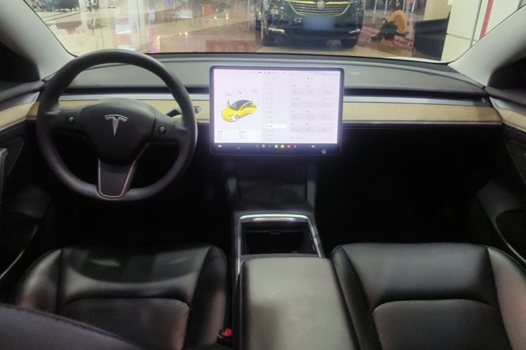 Tesla Model 3 2021 car image #11
