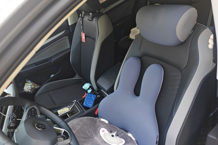 Volkswagen Golf 2022 car image #17