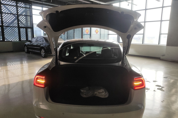 Tesla Model 3 2021 #21 Tesla Model 3 2021 car image #21
