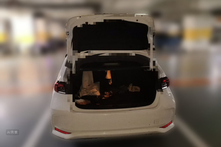 Toyota Corolla 2020 car image #21
