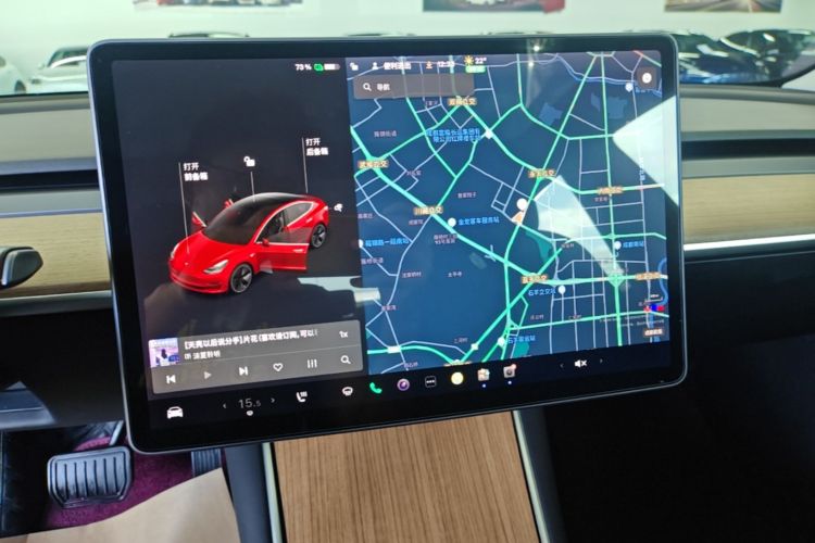 Tesla Model 3 2020 car image #13