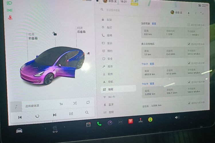 Tesla Model 3 2021 #16 Tesla Model 3 2021 immagine di auto #16