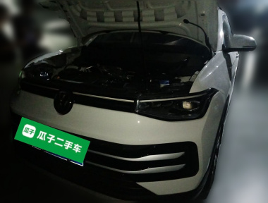 Volkswagen Tharu 2024 car image 
